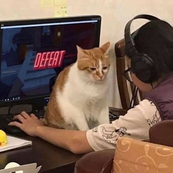 1756892975481.jpeg