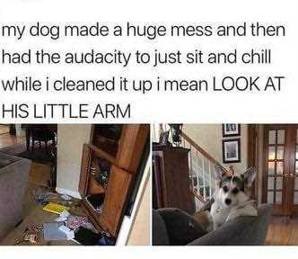 1756996251764.jpeg