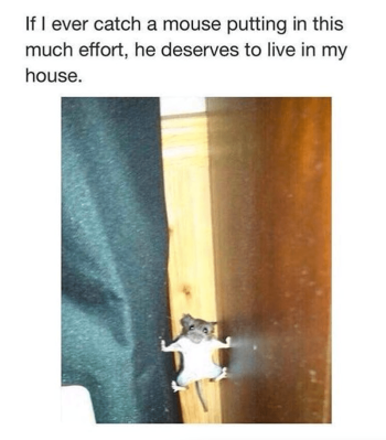 1757056232561.png