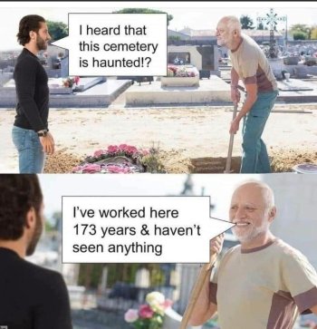 1757077632168.jpeg