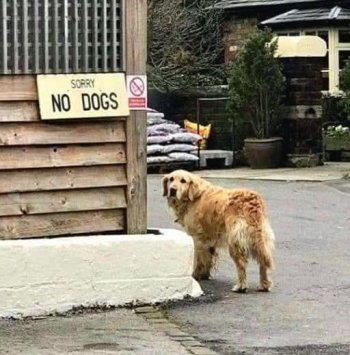 1757078620955.jpeg