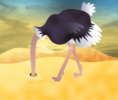 head in sand.jpg