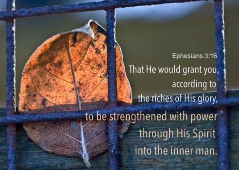 Exhortation - September 5, 2025