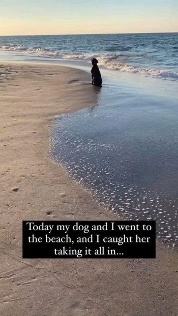 1757294979382.jpeg
