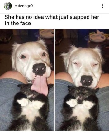 1757299992527.jpeg