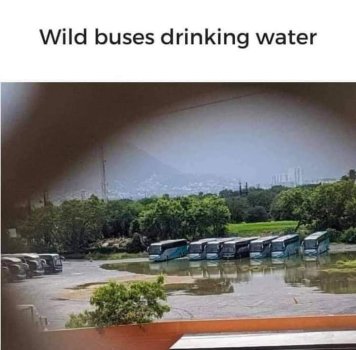 1757340464323.jpeg