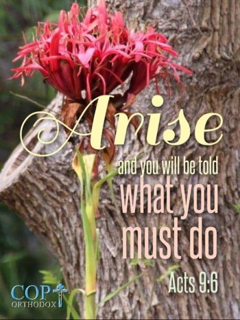 Exhortation - September 8, 2025