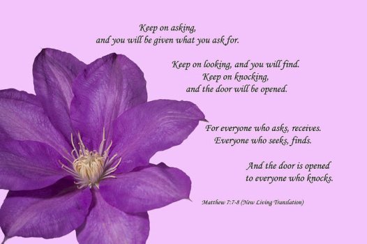 APPREHENDING THE CHRIST LIFE