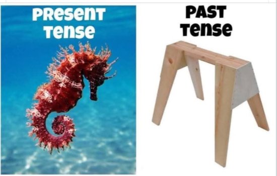 1757596122537.jpeg