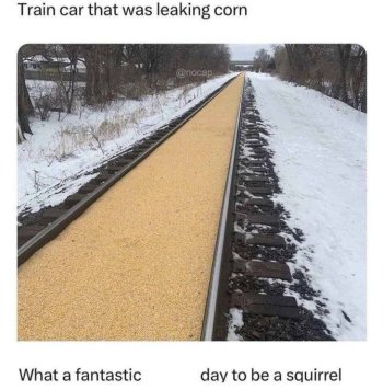 1757597100623.jpeg