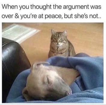 1757597415331.jpeg