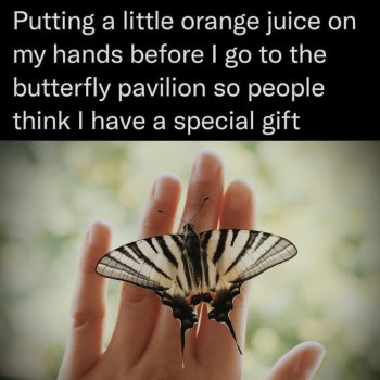 1757693449440.jpeg