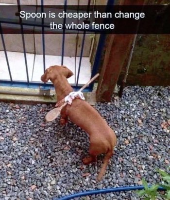 1757722212247.jpeg