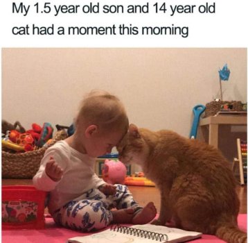 1757817317974.jpeg