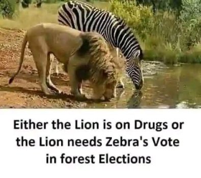 1757880881144.jpeg