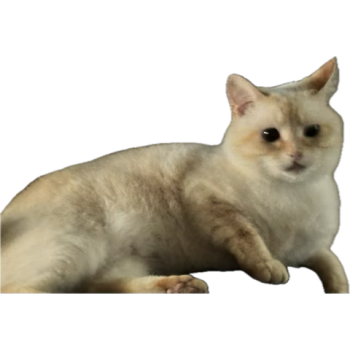 1757938081876.png