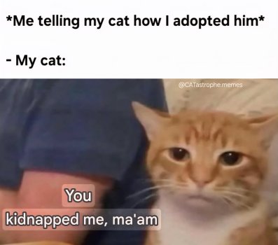 1757964065348.jpeg