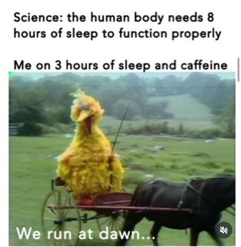 1758032467466.jpeg