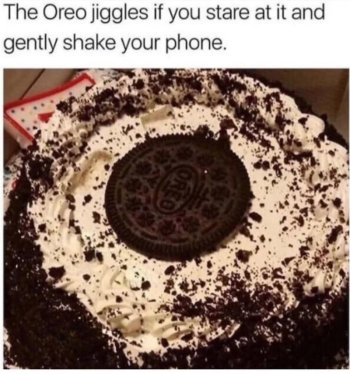 1758228728522.jpeg