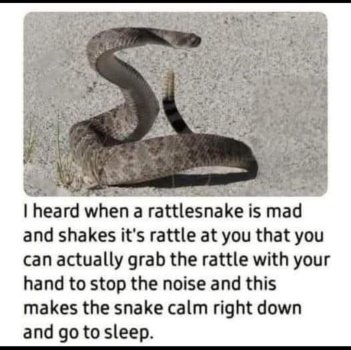 1758254731603.jpeg