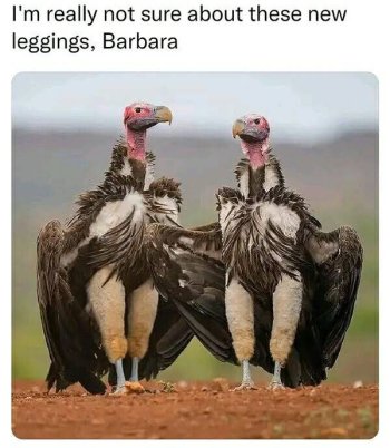 1758645770376.jpeg