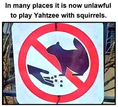 1758667459941.jpeg
