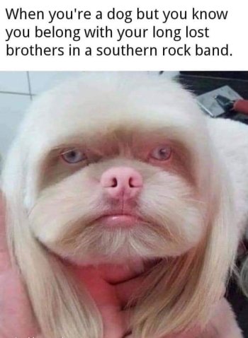 1758751002755.jpeg