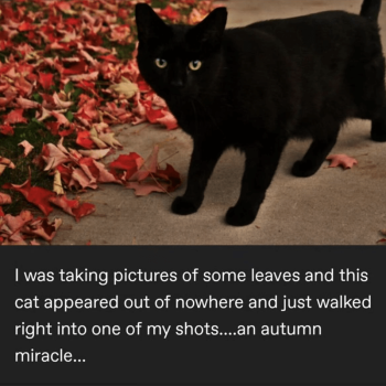 1758785307026.png