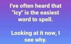 1758829889768.jpeg