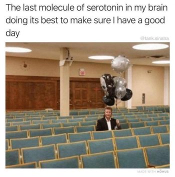 1758884538494.jpeg
