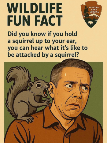 1758934638070.png