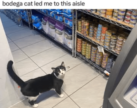 1758957136619.png