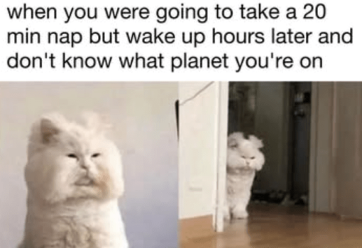 1758957174190.png