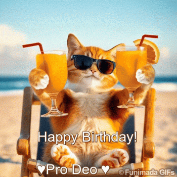 1759000397076.gif