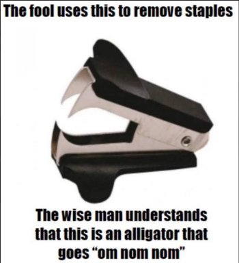 1759005199827.jpeg
