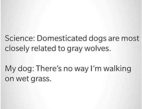 1759016010766.jpeg