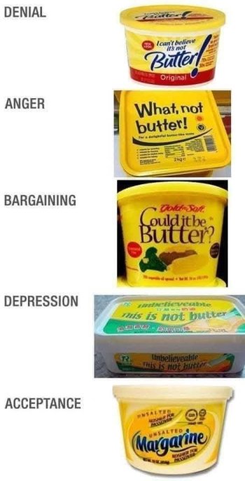 1759021979767.jpeg