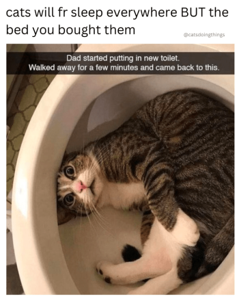 1759028285469.png