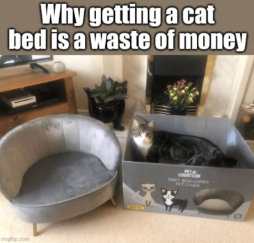 1759028342302.png