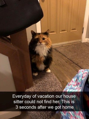 1759098425485.jpeg