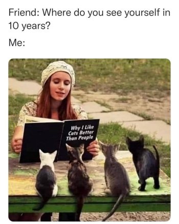 1759099018484.jpeg
