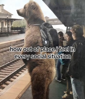 1759112971597.jpeg