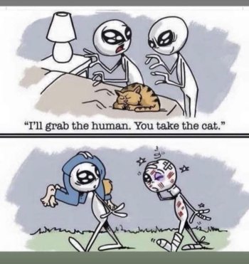 1759205655040.jpeg