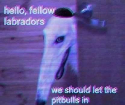 GwUde4tXQAMhcGG.jpeg