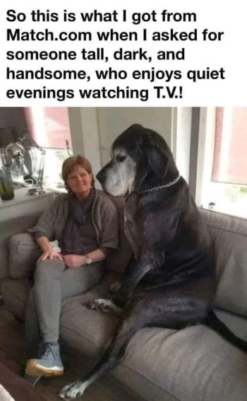 1759249801446.jpeg