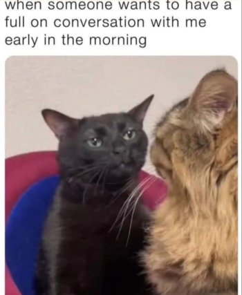 1759261148828.jpeg