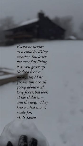 1000000718.jpg