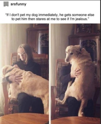 1759324828119.jpeg