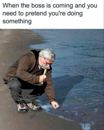 1759325138172.jpeg