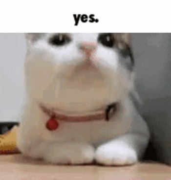 1759349983598.gif